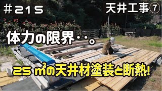 ≪週末DIYから始める移住への道≫ ＃215 25㎡の天井断熱材施工と塗装で‥アラフィフの体力が限界を迎えました。 天井工事７ アラフィフ開拓≫ [upl. by Anit393]