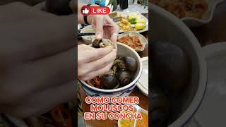 COMIENDO MOLUSCOS EN SU CONCHA CENA EN VIETNAM subscribe travel like trending viralvideo [upl. by Lucania]