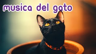 💫Música Magica para Gatos  Relájese y Calme a su Felino al Instante [upl. by Yewed]