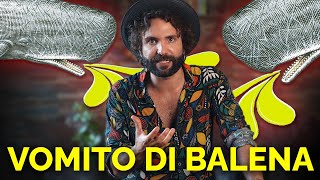 Il VOMITO DI BALENA costa più di TE [upl. by Strader]