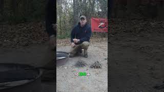 Pro Tips for Building the Perfect Campfire at Torreya State Park [upl. by Euphemia]