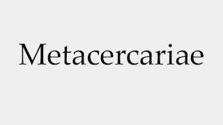 How to Pronounce Metacercariae [upl. by Niawtna]