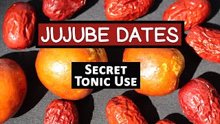 Red Jujube Fruit Secret Tonic Use of a Superfruit Variety [upl. by Ynneg753]