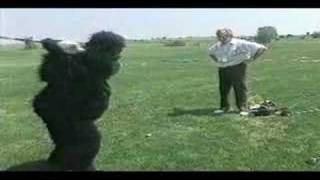 Magilla Gorilla cures his slice with the No Bananas antislice driver  golf commercial [upl. by Zacharia]