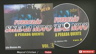 Forrozão Skema Novo ᴴᴰ CD COMPLETO 2019 [upl. by Lotsirk959]