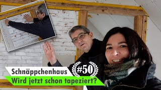 Schnäppchenhaus 50 🏡 Rigips Decke abhängen amp doppelt OSB Platten [upl. by Roxanne]