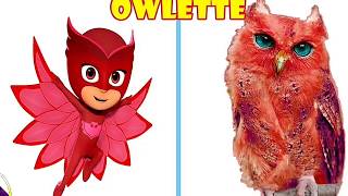 Pj Masks Characters in real lifePijamaskelilerin gerçek hayattaki halleri [upl. by Dnaltruoc]