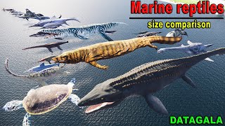 Ancient marine reptile Size Comparison 🐟 Which Marine reptile is the biggest [upl. by Giglio392]