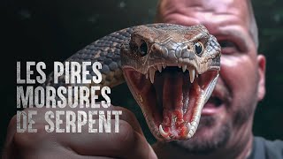 Comment survivre aux morsures de serpent les plus dangereuses [upl. by Lundquist]