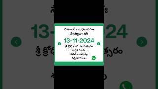 Telugu calendar  Nov 13 2024 [upl. by Euqenimod]