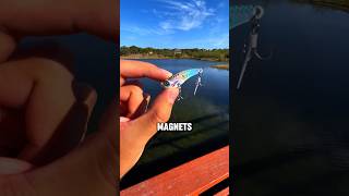 DISTANCE😳fishingshorts bassfishing fishing fishingvideo sportfishing fisherman fishinglife [upl. by Atirac]