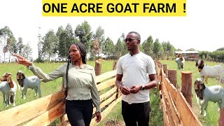 How He Makes PROFITS On An ACRE Of LAND  Goat Demo FARM [upl. by Yenruoj137]