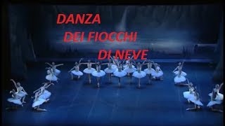 Danza dei fiocchi di neve [upl. by Repohtsirhc415]