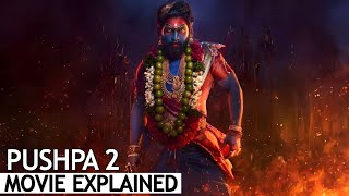 Pushpa 2 The Rule Full Movie Explained in Hindi  BNN Review [upl. by Ruthann689]