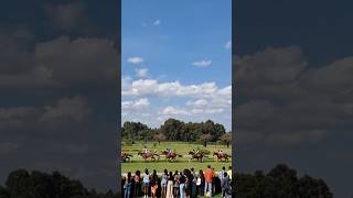 Jockey Club in Nairobi😍 jockeyclub ytshorts horses [upl. by Nywnorb]