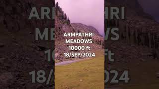 ARMPATHRI MEADOWS explore trekking2024 mountains alpinelake trekkingadventures kashmir [upl. by Tuck]