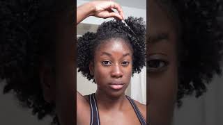 Is dry shampoo for natural hair [upl. by Latrice]