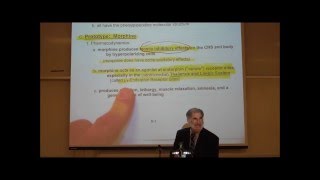 PHARMACOLOGY NARCOTIC ANALGESICS by Professor Fink [upl. by Ymmor327]