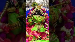 Sajda Tera sajda🤗Mere Ramna🥰 music song love vrindavan viralshorts [upl. by Cannice685]