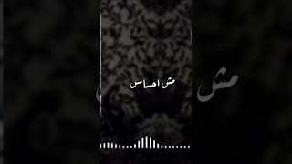 Adham Nabulsi  Howeh El Hob  ادهم نابلسي  هو الحب [upl. by Nesyt]