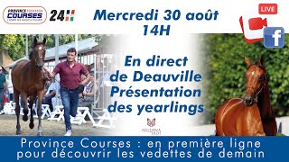 Présentation des YEARLINGS en direct de Deauville  Ventes Arqana TROT [upl. by Yesoj]