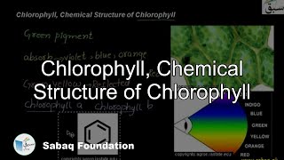 Chlorophyll  Chemical Structure of Chlorophyll Biology Lecture  Sabaqpk [upl. by Farrel]