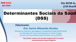 30062020  Determinantes Sociais da Saúde DSS  Dra Karine Wlasenko Nicolau [upl. by Leff]