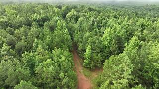 168 Acres in Woodland AL [upl. by Aerdnaz]