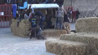 VILLE DE BAILLARGUES 15 01 2017 FETE D HIVER MANADE VELLAS [upl. by Karlee]