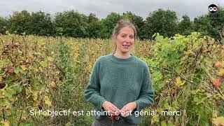 Vidéo de lancement de campagne Ulule  Ateliers vins nature [upl. by Htidirem856]