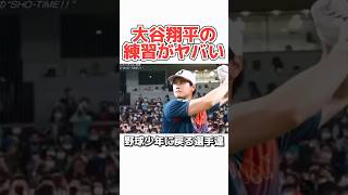 【大谷翔平】バッティング練習が規格外すぎるw プロ野球 野球 メジャーリーグ 大谷翔平 [upl. by Matthieu]