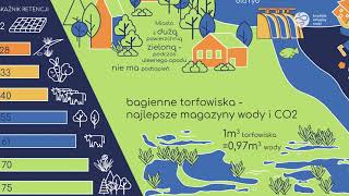 NATURALNA RETENCJA NIE BETONY  ekspertka wyjaśnia dlaczego naturalna retencja jest lepsza [upl. by Cord]