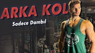 10 DK Efsane Kol Antrenmanı  Ekipmansız Biceps amp Triceps  velikaans [upl. by Analak960]