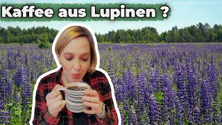 Lupinenkaffee im Test Eine nachhaltige Alternative zu Kaffee [upl. by Mokas981]