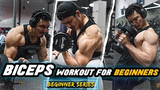 BIG BICEPS WORKOUT for BEGINNERS in HINDI बाइसेप्स वर्कआउट बिगिनर्स के लिए [upl. by Aitnom74]