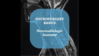 Neurosurgery Basics Lecture  Neuroradiologic Anatomy Part 5 [upl. by Hassett]