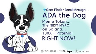 ADA The Dog Meme Token 1001000X On Solana is the NEXT MYROWatch NOW [upl. by Adnoval]