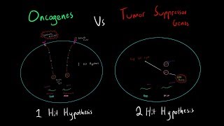 Cancer Oncogenes vs Tumor Suppressor Genes 1Hit vs 2Hit Hypothesis EVERYTHING NEED TO KNOW MCAT [upl. by Bikales280]