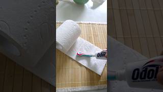 Schmiere Zahnpasta auf Klopapier und Staune was passiert shorts tippsundtricks lifehacks [upl. by Averat]