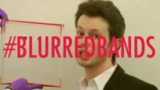 Labbin Thicke  quotBlurred Bandsquot Robin Thicke Blurred Lines parody [upl. by Shulman]