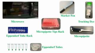 Tools Use for Gel Electrophoresis [upl. by Alyek346]