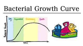 The Bacterial Growth Curve  MCAT Biology [upl. by Uolyram]