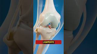 CIRURGIA DE LIGAMENTO 😃🦵 zackdfilms [upl. by Arrakat208]