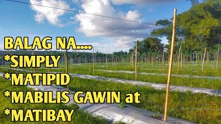 PAANO GUMAWA NG BALAGTRELIS NG AMPALAYA  Begginers Guide [upl. by Nirat424]