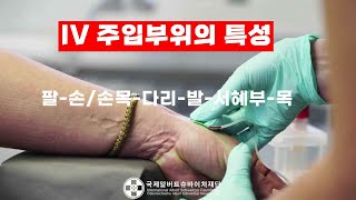 💉IV 주사 기초 주입 부위 선택 주의사항 및 금기사항  Intravenous Injection Guide [upl. by Kenn413]