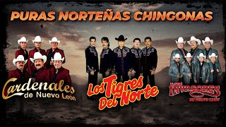 Puras Norteñas Los Mejores Éxitos de Los Tigres del Norte Cardenales de Nuevo León y Los Invasores [upl. by Hacim]