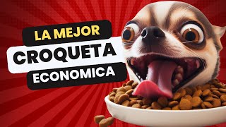 Descubre las Croquetas Mas Economicas y de BUENA Calidad para tu chihuahua [upl. by Enomad]