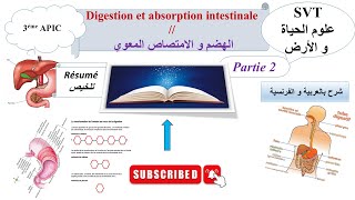 Absorption intestinale quot partie 2 de la digestion quot pour les élèves de 3 APIC [upl. by Ahseel672]