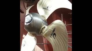 CPP Controllable Pitch Propeller [upl. by Anytsirk417]