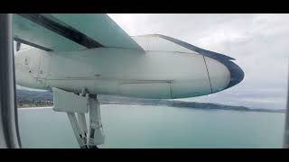 Air New Zealand De Havilland Canada Dash 8300 Landing Gisborne Airport [upl. by Hawken]